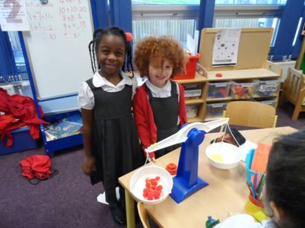 Y1S experiment by estimating weights of things  that balance using our new scales.