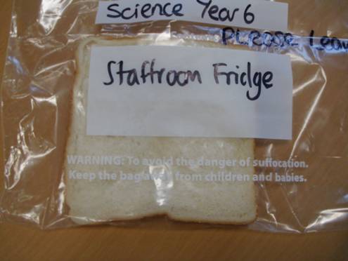 WE found that the one in the staffroom fridge was clear of mould.
