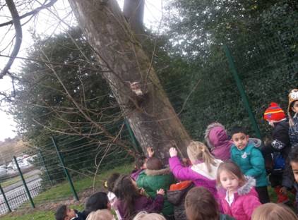 We took a stroll through the deep dark wood and retold the Gruffalo story.
